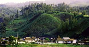 Desa wisata ranu pane dikembangkan dengan daya tarik utama wisata berupa danau ranu pane, pos pendakian gunung semeru, dan suasana pedesaan dilereng gunung tertinggi. Paket Semeru Cara Mudah Ke Ranu Pane