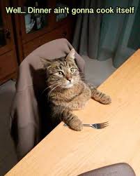 Humorize Your Day With 35 Random Funny Memes Pics Funny Cats Funny Cat Pictures Funny Pictures
