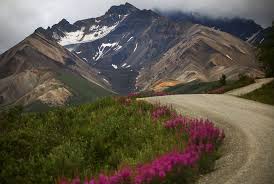 The park is located approximately 225 miles north of anchorage, alaska and is serviced by the parks highway and the alaska railroad. 9 Things You Didn T Know About Denali National Park And Preserve U S Department Of The Interior