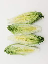 Romaine Hearts Hitchcock Farms