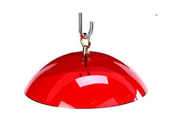 Check spelling or type a new query. Seed Trays Weather Domes The Fat Robin