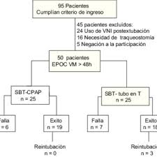 Cpap significa presión positiva continua, también conocida como ventilación no invasiva. Carta De Flujo Del Estudio Vm Ventilacion Mecanica Ere Ensayo De Download Scientific Diagram