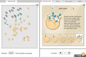 Answer key to meiosis worksheets cell division begin with a page 2/4. Virus Lytic Cycle Gizmo Lesson Info Explorelearning