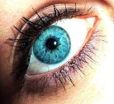 Watch this makeup instructional video to create this aqua green eye makeup look. Aqua Eye Aqua Eyes Green Eyes Eye Color