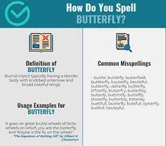 More french words for butterfly. Correct Spelling For Butterfly Infographic Spellchecker Net