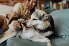 Image result