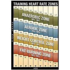 Training Heart Rate Zones Chart Modern Poster 13 X 19in