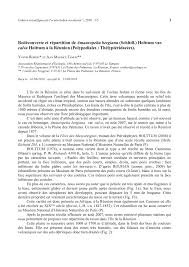 Image result for Amauropelta bergiana