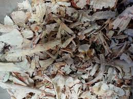 Check spelling or type a new query. What Are Ashes Home Pet Euthanasia Of Southern California