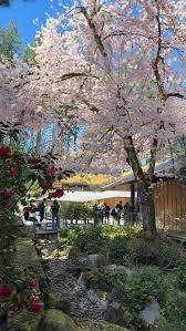 I went to The Huntington yesterday to see the exhibit on literature  (including handwritten letters from Charlotte Brontë and Mary Shelley) but  decided to check and see if any of the Japanese