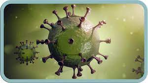 Coronavirus So Gefahrlich Ist Es Wirklich Faktencheck Youtube