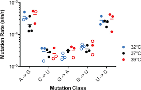 Mutation frequency refers to the proportion of mutants identified in a virus sample or population. The Mutation Rates And Mutational Bias Of Influenza A Virus Biorxiv