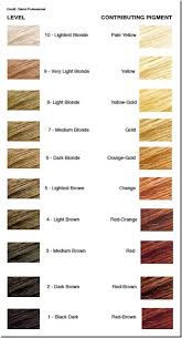 Hair Color Level Chart In 2019 Hair Chart Level 8 Hair