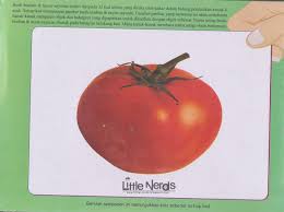 Little Nerds Flash Cards Buah Buahan Dan Sayur Sayuran