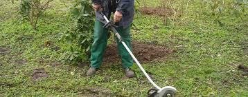 Dazu gehört auch die baumpflege, Gps Wilhelmshaven