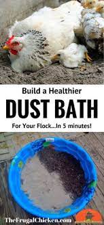 10 Dust Bath For Chickens Ideas Dust Bath Chickens Chickens Backyard