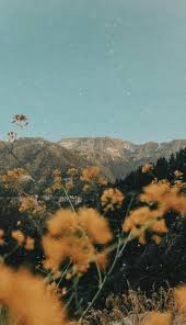 See more ideas about aesthetic vintage, aesthetic wallpapers, photo wall collage. Duvar Kagitlari Wallpapers U C Duvar Kagitlari Wallpapers Landscape Wallpaper Aesthetic Backgrounds Landscape Photography