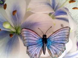 God is great and you are blessed, so happy for you. How To Make Realistic Edible Butterflies For Your Cake Cakecentral Com