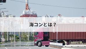 Image result for 海コントレーラー