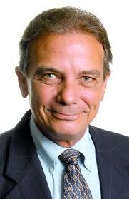 Steve Wool, Real Estate Salesperson