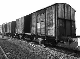 In occasione del giorno della memoria, due fotografi della reuters hanno ritratto alcuni sopravvissuti, ora anziani. Giorno Della Memoria 2020 Trentino Cultura