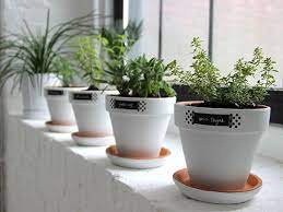 Pin By Diy Network On Made Remade Herb Garden Pots Windowsill Herb Garden Windowsill Garden