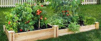 See individual vegetable pages for more information on growing specific crops in your home garden.how to plant the vegetable garden. How To Design Your Backyard Vegetable Patch Modularwalls