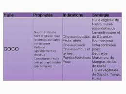Les Huiles Proprietes Et Synergies Pour Le Pre Poo Oil Rinsing Et Scellage Des Pointes Cheveux Sains Soin Cheveux Maison Et Huile