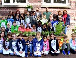 Katholische Grundschule In St Tonis Schulkinder Freuen Sich Auf Selbst Gepflanzten Salat Und Erdbeeren