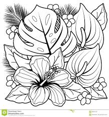 Resultats Google Recherche D Images Correspondant A Https Thumbs Dreamstime Com Z Plantes Tropicales Et Page De Li En 2020 Coloriage Fleur Coloriage Coloriage Nature