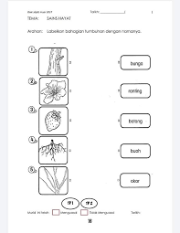 Welcome to my blog ! Latihan Sains Koleksi Bbm Pembelajaran Dalam Talian Facebook