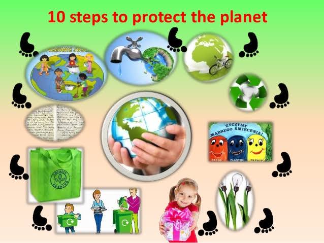 Image result for protecting the environment