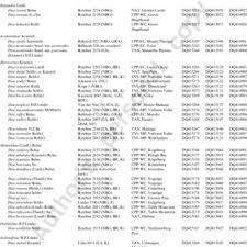 Image result for Disa satyriopsis