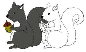 Black And White Squirrel Images Clipart Squirrel Clip Art Clip Art Art Squirrel Clipart