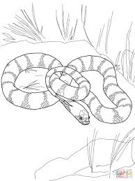 You might also be interested in coloring pages from rattlesnake category. Eastern Diamondback Rattlesnake Coloring Page Free Coloring Library