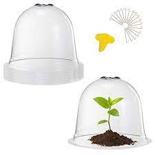 (17 items) cloches are protective structures; Amazon Com 8 Pack Garden Cloche Plant Dome Bell Cover 8pcs Medium Reusable Plastic Mini Greenhouse 24pcs Ground Securing Pegs 50pcs Plant Label Garden Tool For Protecting Outdoors Plants 10 Dia X 7 5