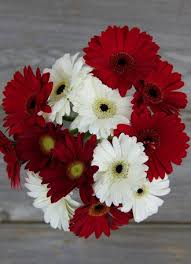 Lifesaver Flower Bouquet White Daisy Wedding Bouquet Daisy Bouquet Wedding Red Bouquet Wedding