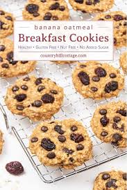 Add eggs, coconut oil (or butter) and vanilla; Banana Oatmeal Breakfast Cookies Healthy Gluten Free Recipe
