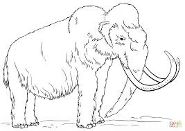 Select from 35970 printable coloring pages of cartoons, animals, nature, bible and many more. Woolly Mammoth Coloring Page Free Printable Coloring Pages Coloring Pages Nature Animal Coloring Pages Animal Coloring Page