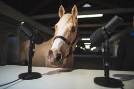 Tuesday night polo lessons at tamarian farms. Visitlex The Horse And Bourbon Capital Of The World The Shorty Awards