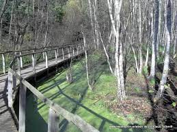 The teufelsmoor is a region of bog and moorland north of bremen, germany. Im Teufelsmoor Die Natur Entdecken Lichtenrade