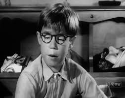 My Three Sons" My Friend Ernie (TV Episode 1963)