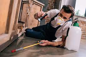You can do these simple approach to pest control should you want to address the situation yourself. Should I Clean My Home After A Pest Control Treatment