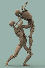 Zhr On Twitter Https T Co Izqlk39121 Anatomy Poses Anatomy Sculpture Anatomy Art