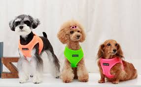 ✅ free shipping on many items! Amazon Com Puppia Authentic Neon Soft Vest Harness B Green Large Pet Supplies