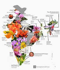 We did not find results for: Oc State Flowers Of Indian States Mapporn
