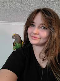 A scream for help🤷‍♀️ Tree Swallow Sagadahoc, Me 6/26/25