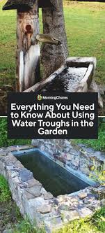 Mobile galvanized water trough garden planters diy project the. What You Need To Know About Using Water Troughs In The Garden