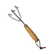 images?q=tbn:ANd9GcQiaD9YogBLomq1IxdCzKK