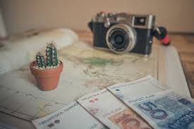 There are several ways to tackle mealybug infestations on cacti plants. Best Way To Carry Money While Traveling Ultimate Guide